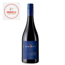 district 7 pinot nior.webp