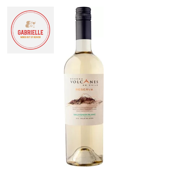 volcanes sauvignon blnac.webp