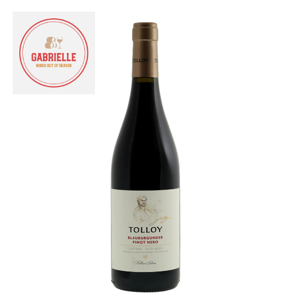 [IT-00174] Tolloy Pinot Nero