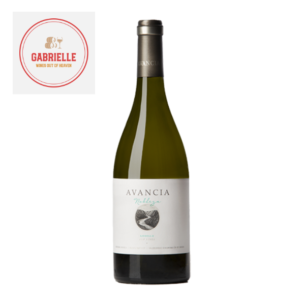 [ES-00141] Ordonez - Avandia Godello