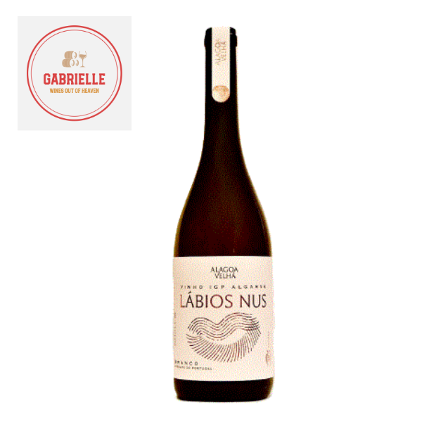 [POR-00119] Labius Nus - Orange