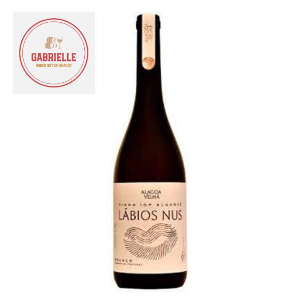 [POR-00121] Labius Nus - Amfora