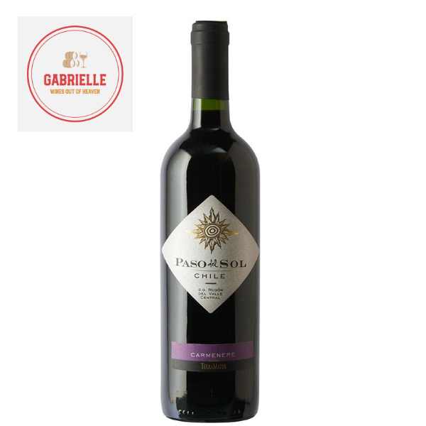 [CH-00104] Paso del Sol - Carmenere