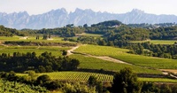 Spanje - Penedes