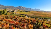 Spanje - Rioja