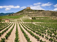 Spanje - Ribera del Duero