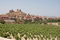 Spanje - Rueda