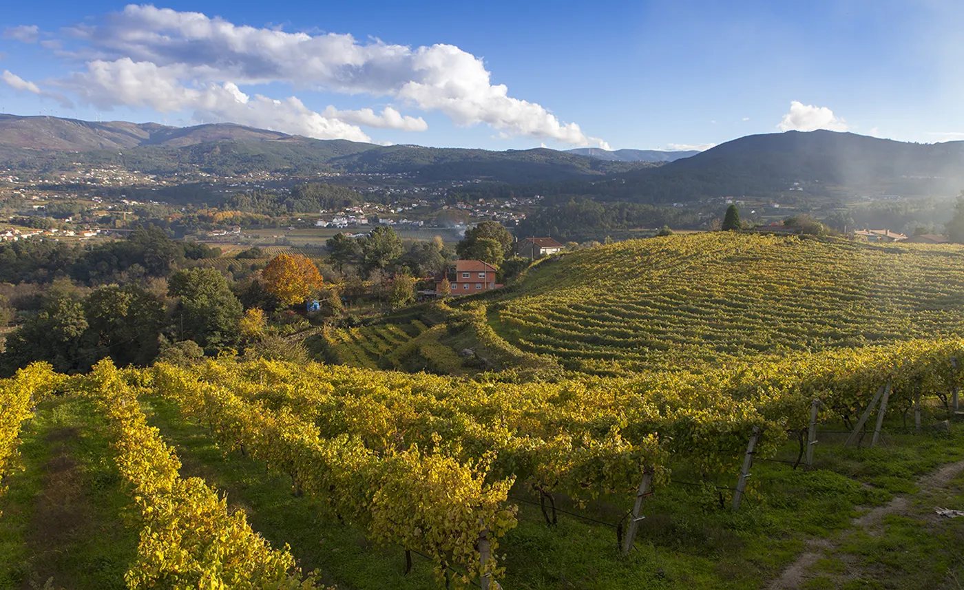 Spanje - Rias Baixas