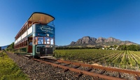 Zuid-Afrika - Franschhoek