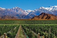 Argentinië - Mendoza