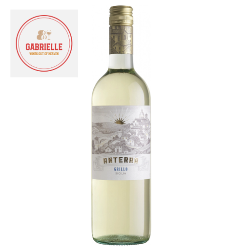 [IT-00146] Anterra - Grillo 